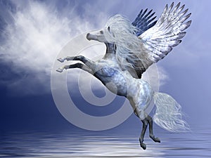 White Pegasus