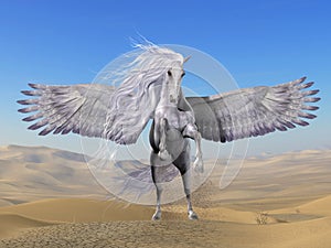 White Pegasus in Desert