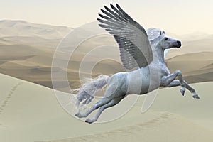 White Pegasus Horse