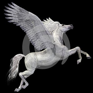 White Pegasus Profile