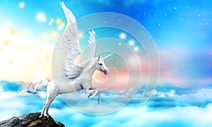 White pegasus unicorn in a cliff high above the clouds photo