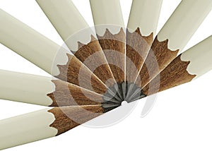 White pencil fan