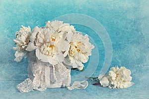 White peonies on blue background