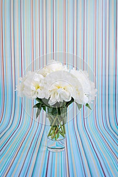 White peonies bouquet in a crystal vase on a striped background