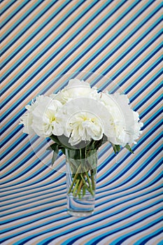 White peonies bouquet in a crystal vase on a striped background