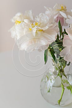 White peonies in a vase