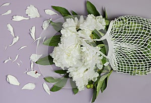 White peonies in a white string bag on a lilac background. zero waste lifestyle and meaningful consumption concept. spring flower