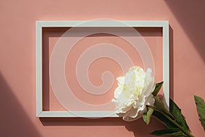 White peony flower on pastel pink background with picture frame. Flat lay, top view, mock up