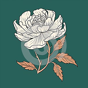 Romantic Peony Illustration With Vintage Woodcut-inspired Graphics