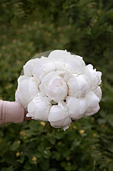 White peony wedding bouquet on darck background. White bridal bouquet. Wedding day.