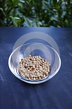 White pepper in bowl photo