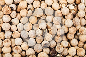 White pepper peppercorns close up