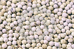 White pepper peppercorns texture close up.