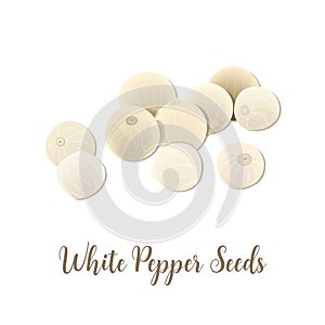 White pepper seeds on white background, top view. Aromatic seeds. spice and seasoning, known as a peppercorn.