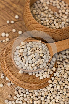 White pepper photo