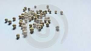 white pepper which is commonly used as a spice for Indonesian specialties