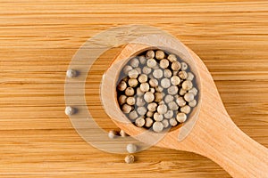 White peppercorn in wooden spoon,