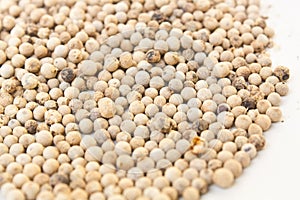 The White Peppercorns Close Up