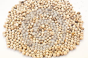 The White Peppercorns Close Up