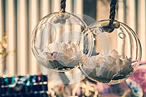 White petals inside round glass recipients hanging
