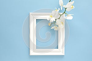 White photo frame with white orchids. Beautiful White Phalaenopsis orchid flowers, wooden white photo frame on blue background