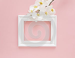 White photo frame with white orchids on the pink background. Beautiful White Phalaenopsis orchid flowers, wooden white photo frame