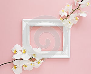 White photo frame with white orchids on the pink background. Beautiful White Phalaenopsis orchid flowers, wooden white photo frame