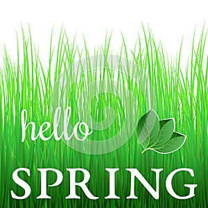 White phrase Hello Spring on green grass