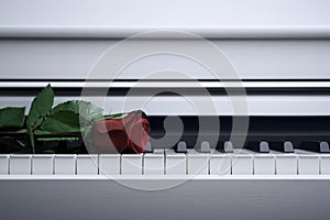 White piano