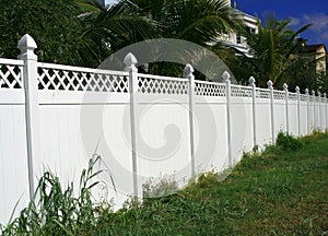 White Picket Fence