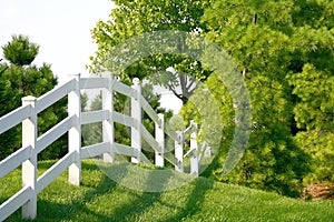 White Picket Fence photo