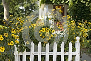 White Picket Fence