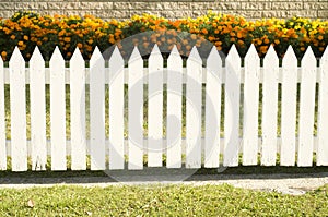 White picket fence