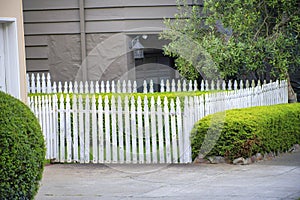 White picket fence in front of house or home in the neighborhood with square and rounded front yard hedges