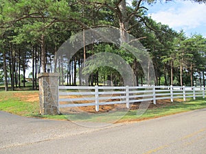 White picket fence