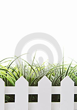 White Picket Fence isolated on white