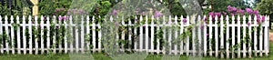 White Picket Fence with Purple Flowers Panorama/Banner