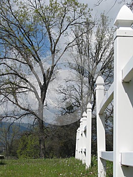 White picket fence in treelined meadow