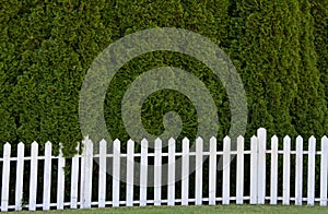 White pickett fence