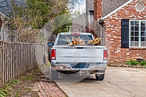 White pickup truck full of trash-boards and boxes- parked in driveway of brick house by security fence - ready to haul it away