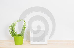 White picture frame and fern in green pot