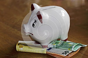 White pig money box with paper money