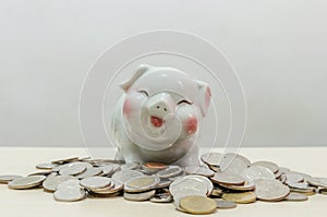 White pig piggy bank and coins