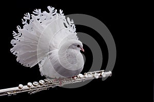 White pigeon on flute