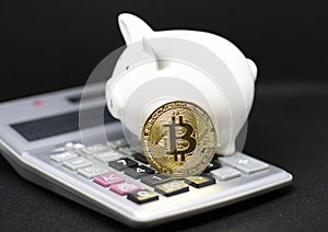 White piggy Bank and gole bitcoin stand on the calculator and black background