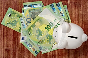 White piggy bank on money, euros bills
