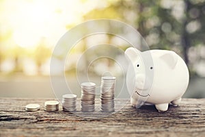 White piggy Bank with money stack step growing.