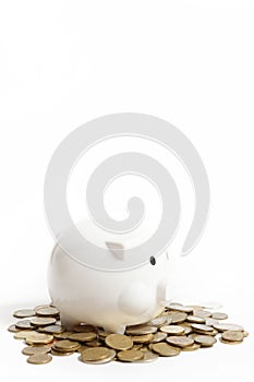 White piggy bank