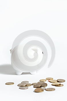 White piggy bank