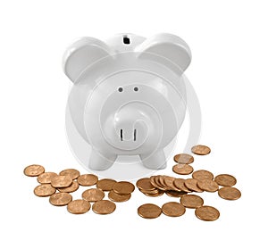 White Piggy Bank Surrounded with Pennies